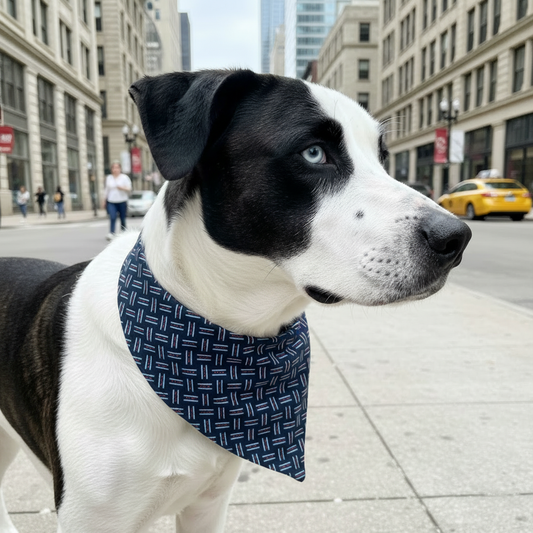 Donnie with Bandana Tied in Back