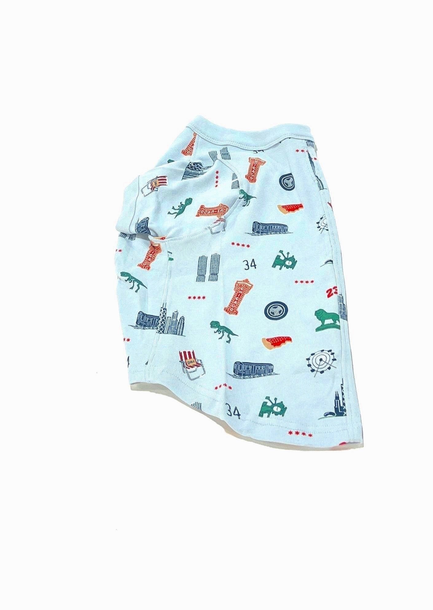 iconic chicago pet pajama